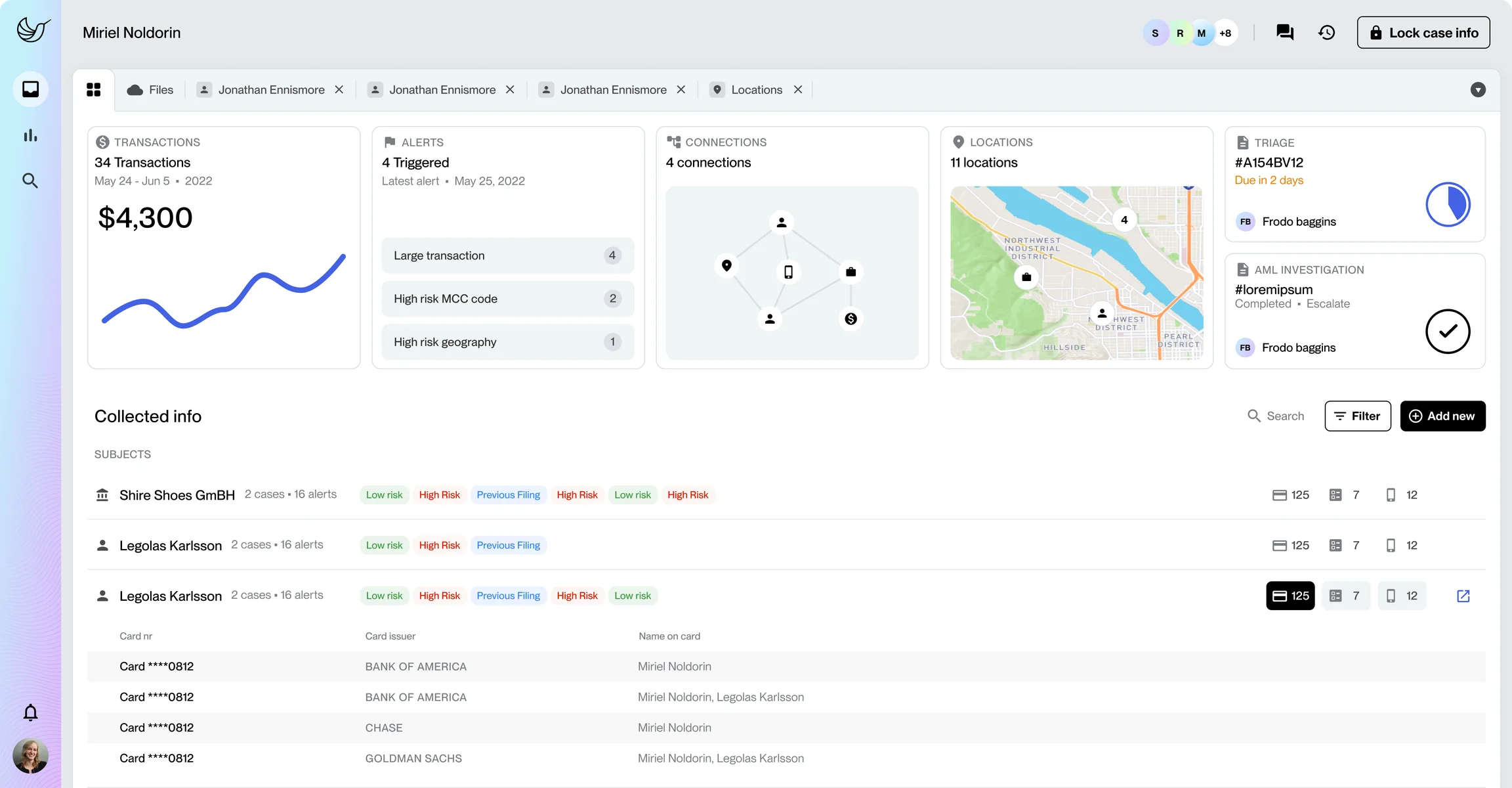 Hummingbird case overview: summary cards for transactions, alerts, connections, locations and case status above a table of subjects with their risk labels and linked cards